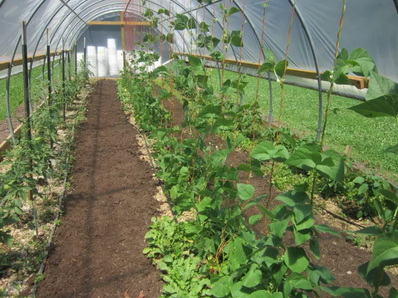 Garden at Laurel County African American Heritage Center