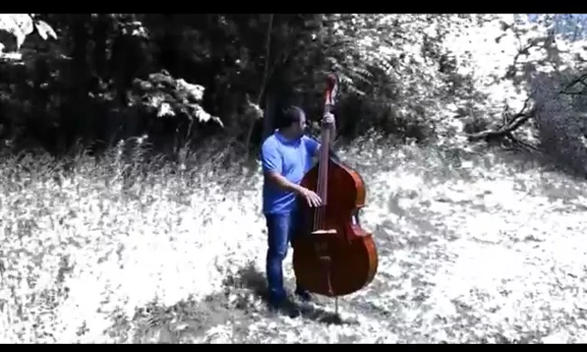 Brandon playing bass