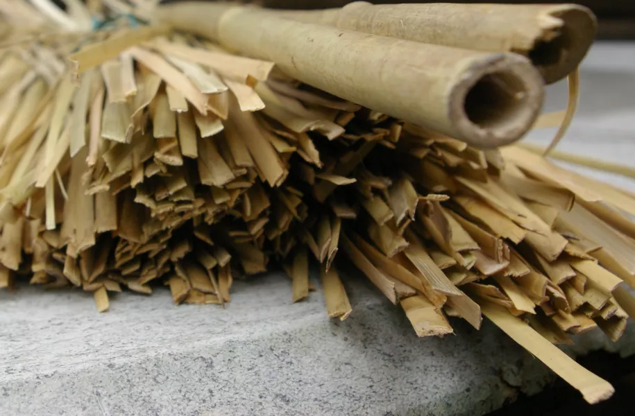 Rivercane and rivercane splits