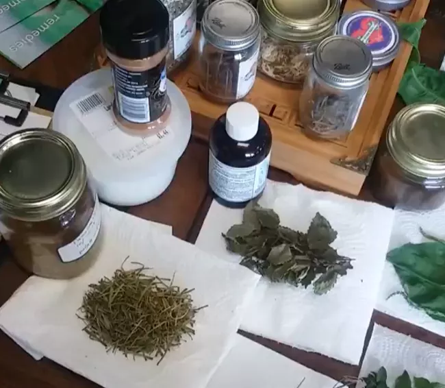 Display at Yvonne Harbin’s last workshop on herbs and herbal remedies